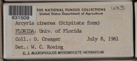 Image Associated With the Occurence